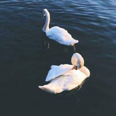 腾讯分分手机app下载